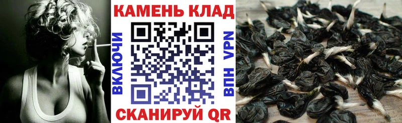 нарко площадка Telegram  Гаврилов-Ям  ГАШ AMNESIA HAZE  где продают наркотики 