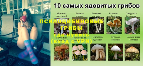 spice Балахна