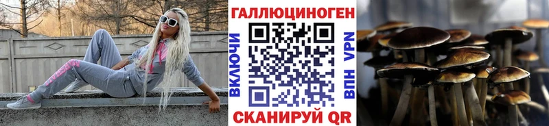 Галлюциногенные грибы Psilocybine cubensis  Гаврилов-Ям 